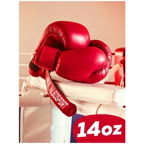 Перчатки боксерские Leosport Классика на липучке 14 унций, красный
