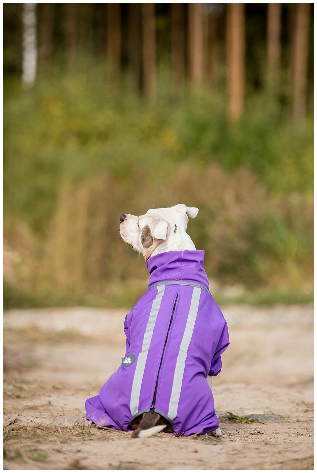 Комбинезон для собак Одежда для животных - фотография № 10