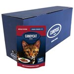 Влажный корм для кошек CandyCat с говядиной и овощами 85 г (кусочки в соусе) - изображение