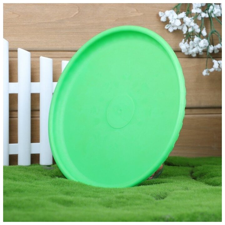 Фрисби "Летающая тарелка", 23 см, зелёный - фотография № 4