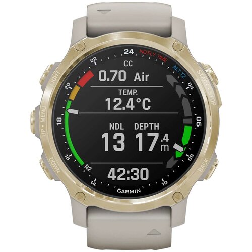 Умные наручные часы Garmin 010-02403-01 10770000₽