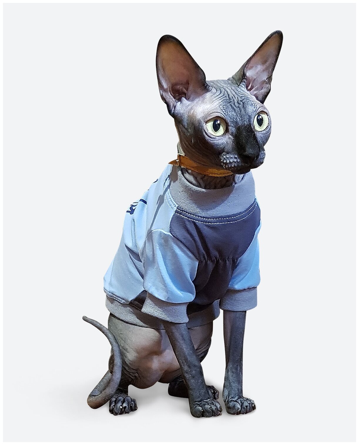 Футболка одежда для кошек "Я твой" размер XXS/ Майка для для котят/котов /сфинкс / сфинксов / Одежда собак мелких пород - фотография № 5