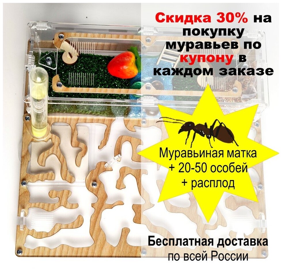 Большая муравьиная ферма XXL Premium 24*26см Полный комплект Древесная - фотография № 6