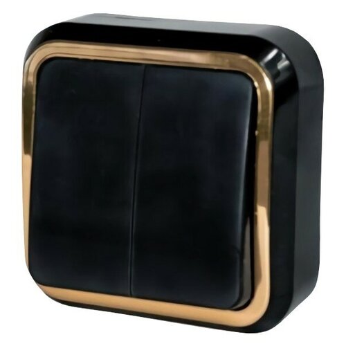 Выключатель 2-клавишный Dresden 6А черный/серебро