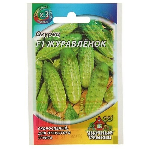 Семена Огурец Журавленок , скороспелый, пчелоопыляемый, 0,3 г серия ХИТ х3 20 упаковок