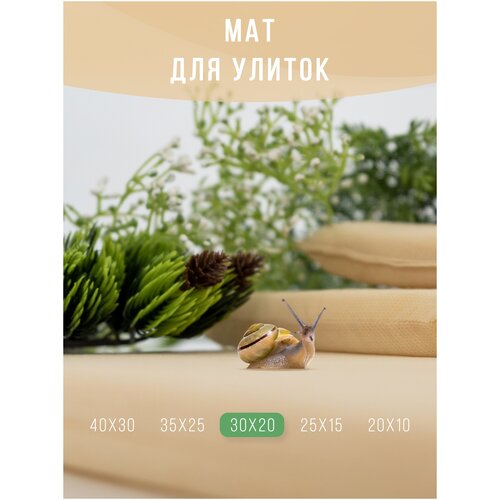 Мат, коврик, подстилка для улиток / Матрасик мягкий для декоративных улиток ахатин 30х20 см