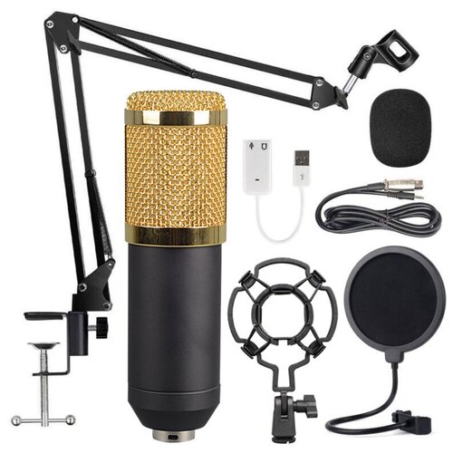 Профессиональный конденсаторный микрофон 259900₽