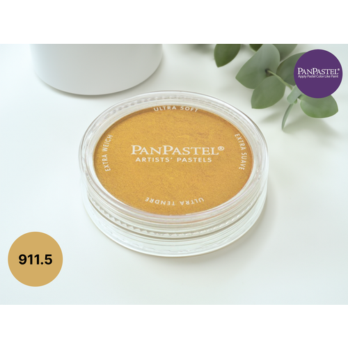 Ультрамягкая художественная пастель PanPastel 911.5 (9мл)