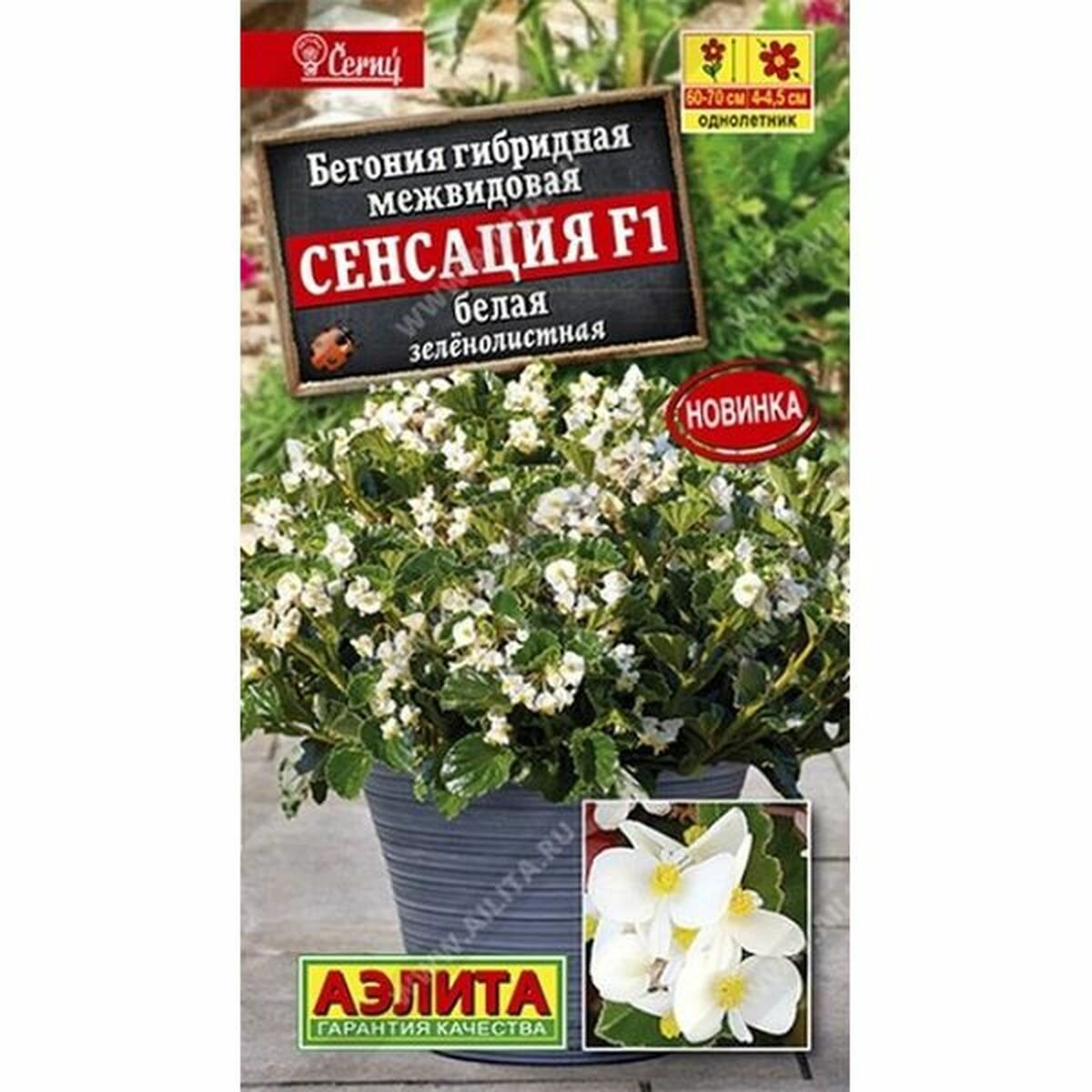 Семена Бегония Сенсация белая зеленолистная F1 однолетник (Аэлита) 7шт