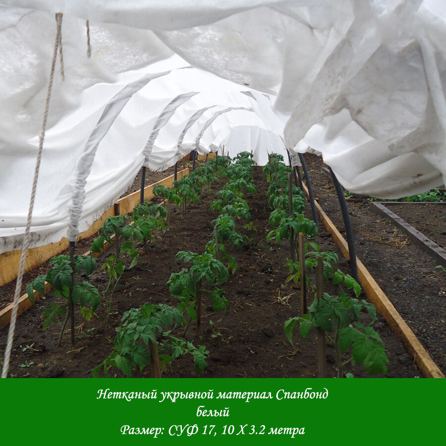 Укрывной материал для парника / Спанбонд для укрытия растений (СУФ 17 10х32 м.