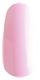 CB02 розовая яблоня