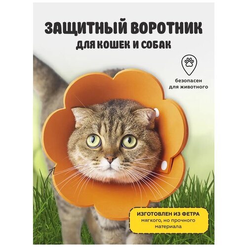 Защитный ветеринарный воротник для кошек и маленьких собак воротник конус для животных, оранжевый, размер М