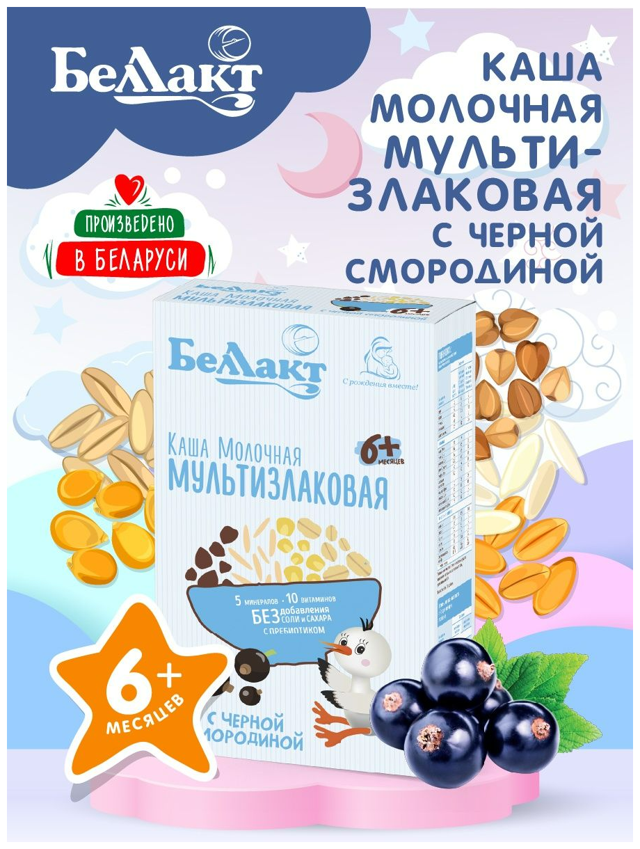Каша зерно-молочная мультизлаковая с черной смородиной с пребиотиком Беллакт 250г - фото №2