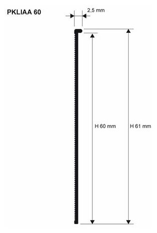 PROSKIRTING LINE Алюминиевый анодированный плинтус 60 мм. длина 2 метра. PROGRESS PROFILES