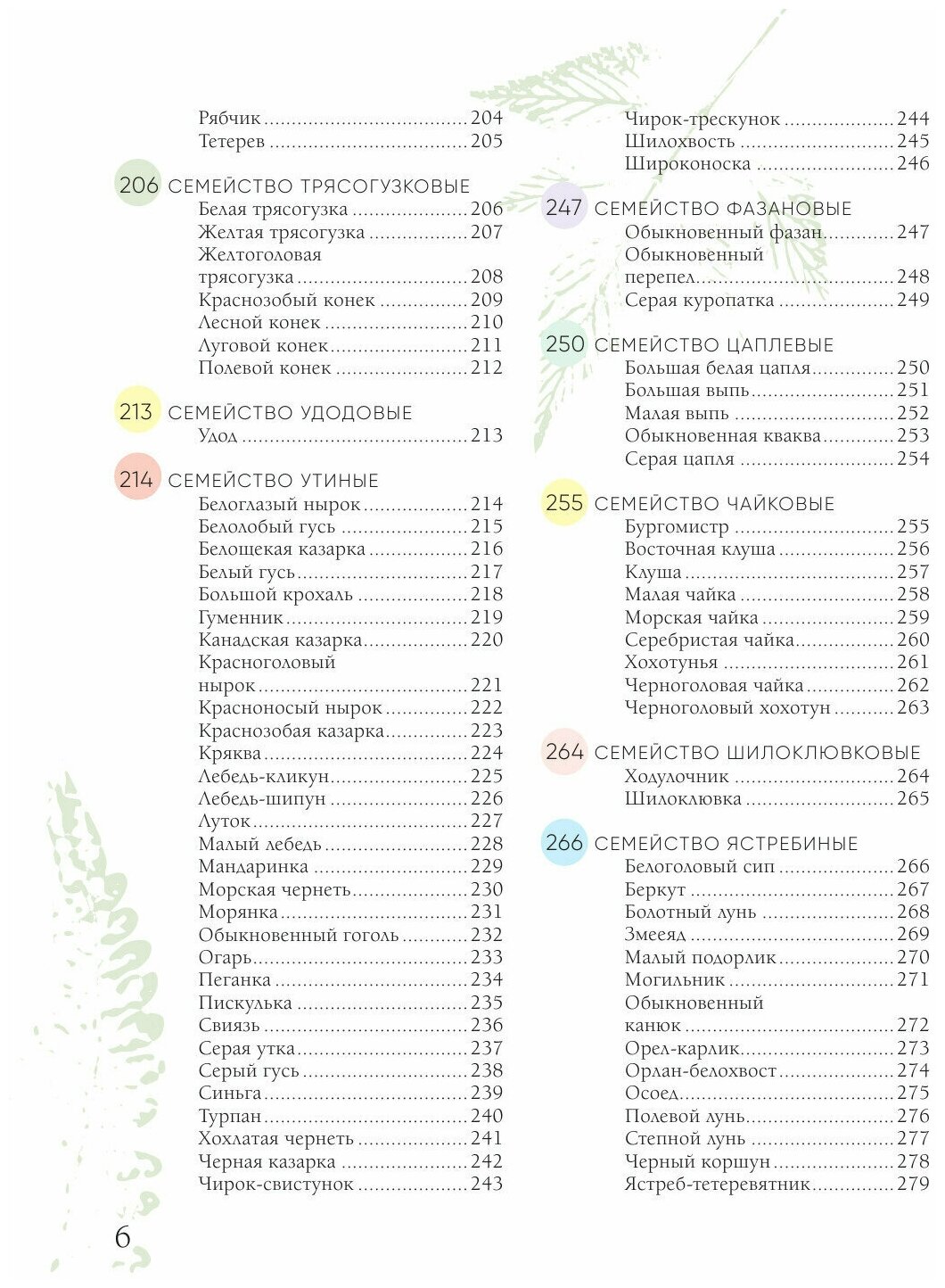 Птицы России. Большая иллюстрированная энциклопедия - фото №18