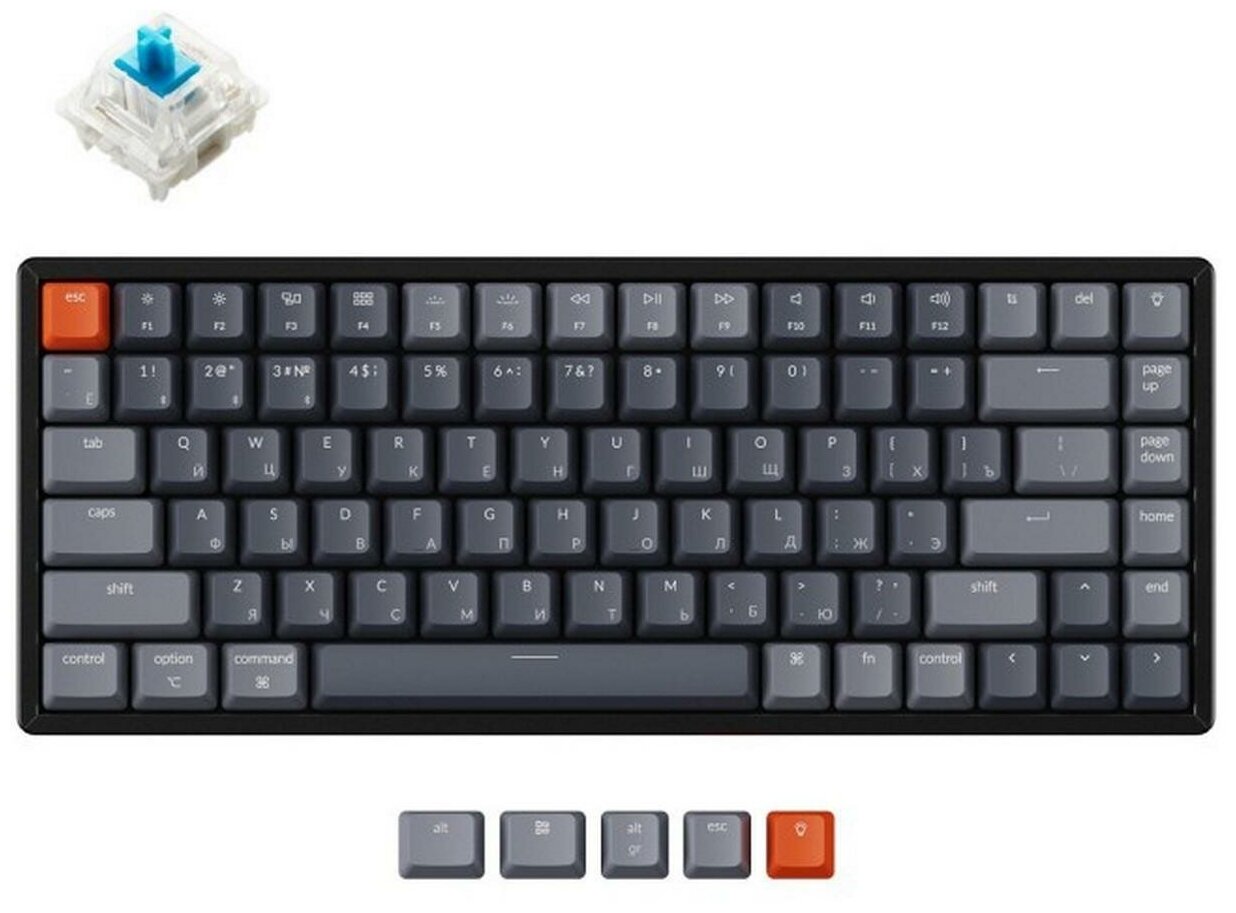 Клавиатура Keychron K2, 84 клавиши RGB подсветка, Hot-Swap, Gateron Blue Switch (K2-C2H) - фото №1