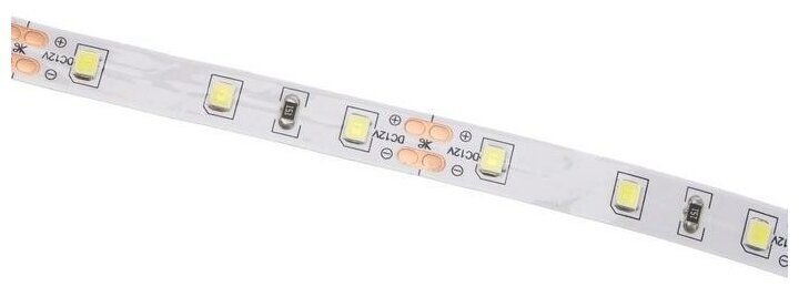 Светодиодная лента Ecola PRO 5 м, IP20, SMD2835, 60 LED/м, 8 Вт/м, 12 В, 6000К - фотография № 3