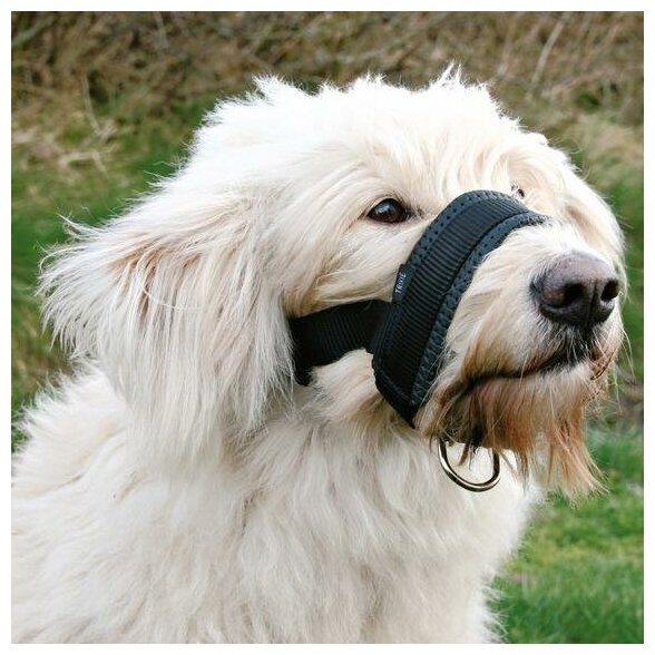 Намордник петля для собак крупных пород Trixie Muzzle Loop размер XL-XXL (1 шт) - фотография № 2