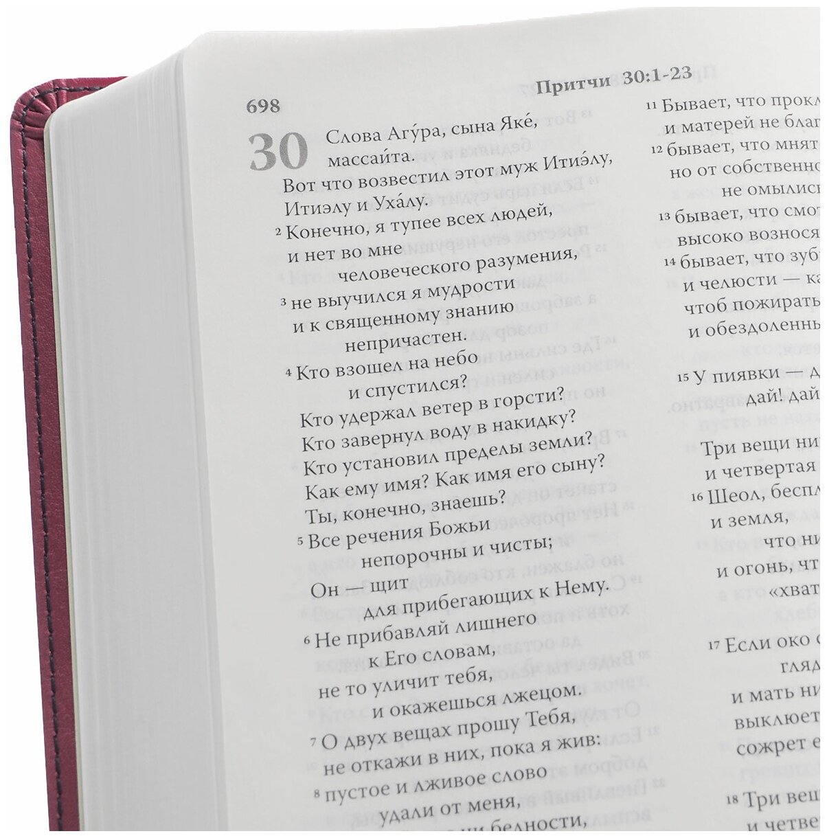 Библия. Современный русский перевод - фото №2