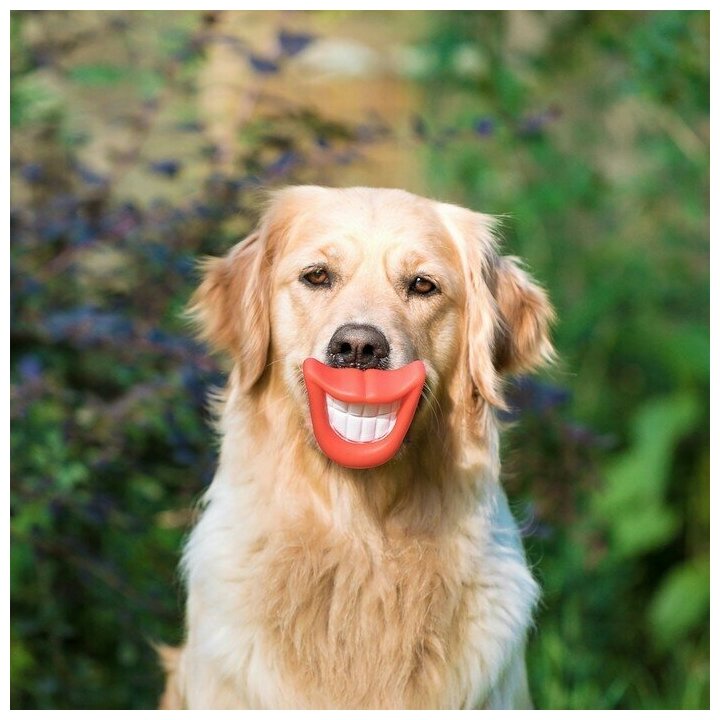 Игрушка пищащая "Улыбка" для собак, 9 см, красные губы - фотография № 5