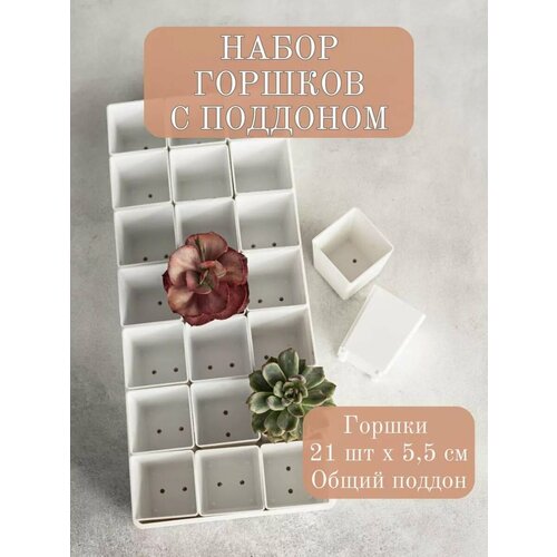 Набор горшки с поддоном для растений кактусов суккулентов