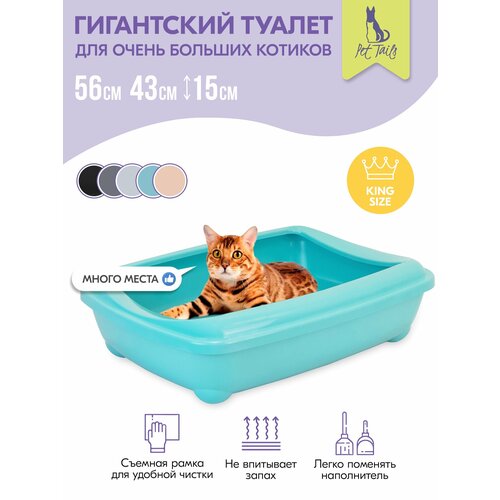 Туалет для кошек, лоток для кошек "PetTails" для Мейн-кунов глубокий, большой (под наполнитель) 56*43*15см, бирюзовый