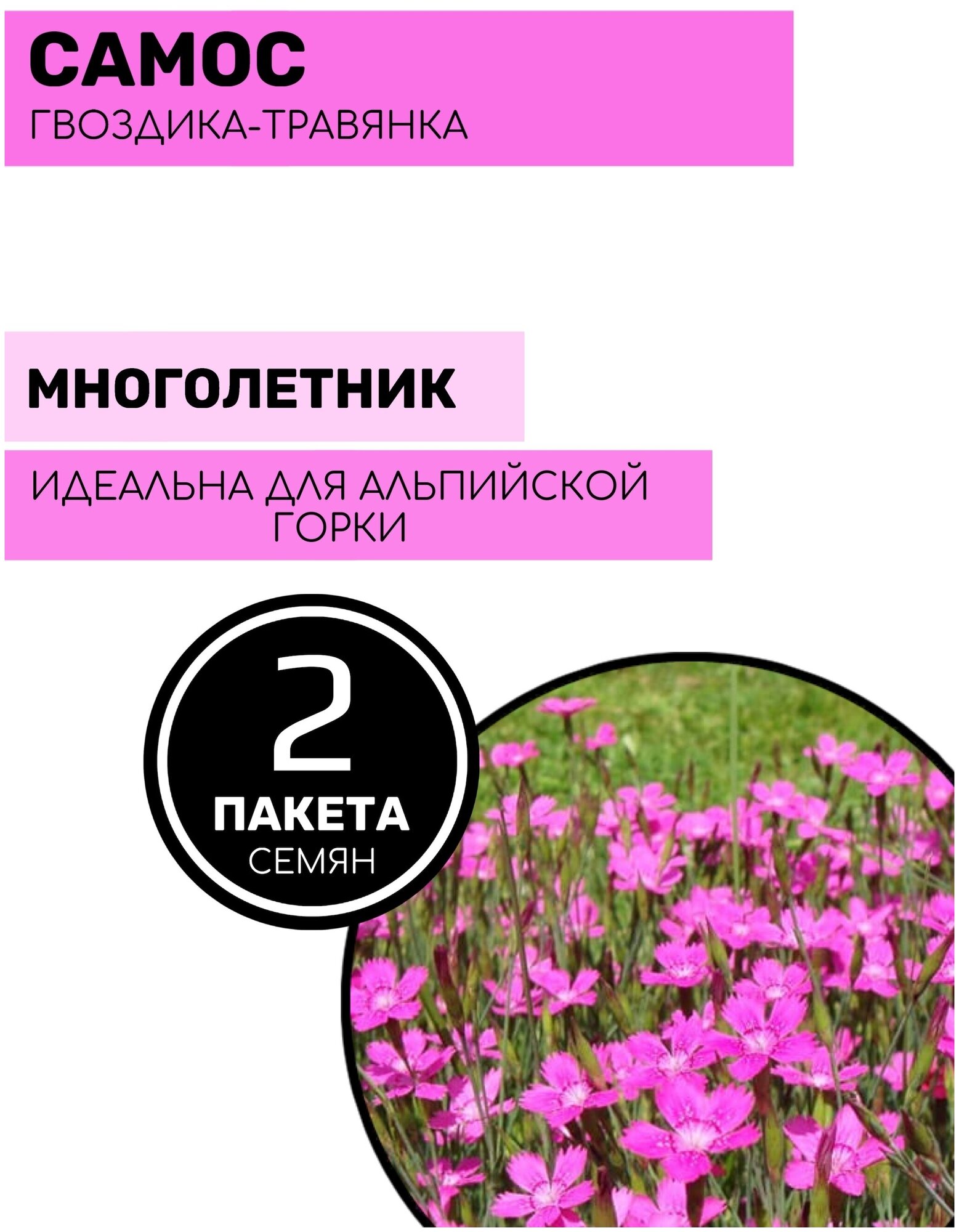 Цветы Гвоздика - травянка Самос 2 пакета по 005г семян