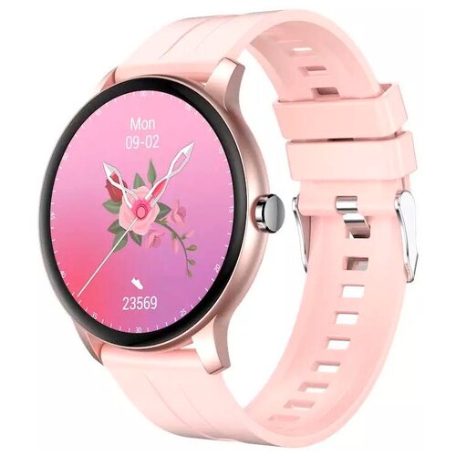 CheckME Smart CMSSP02GP 654500₽