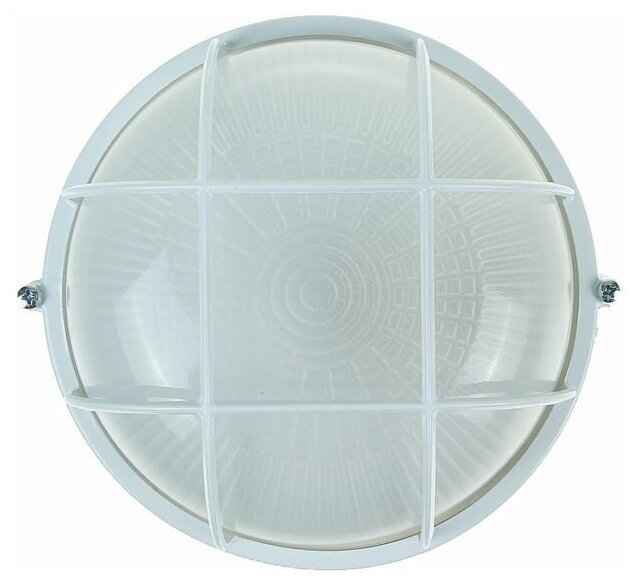 Светильник TDM НПБ1302, Е27, 60 Вт, IP54, круглый, с решеткой, белый - фотография № 2