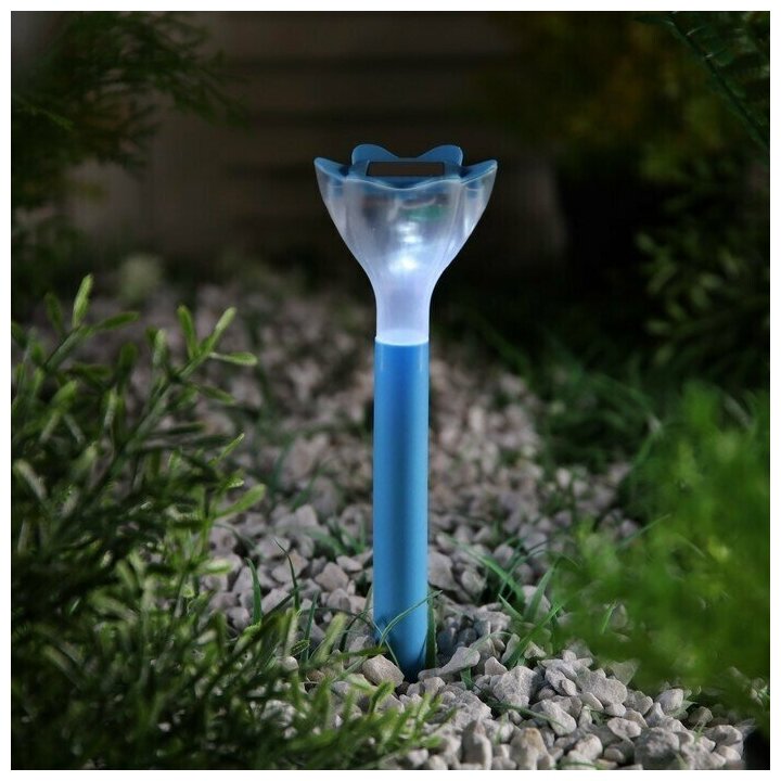 Фонарь садовый на солнечной батарее "Цветок голубой", 29 см, d-6 см, 1 led, пластик