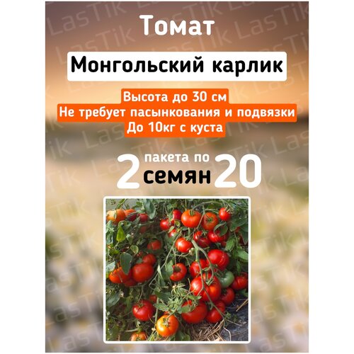 Томат Монгольский карлик 2 пакета по 20шт семян томат шапка мономаха 2 пакета по 20шт семян