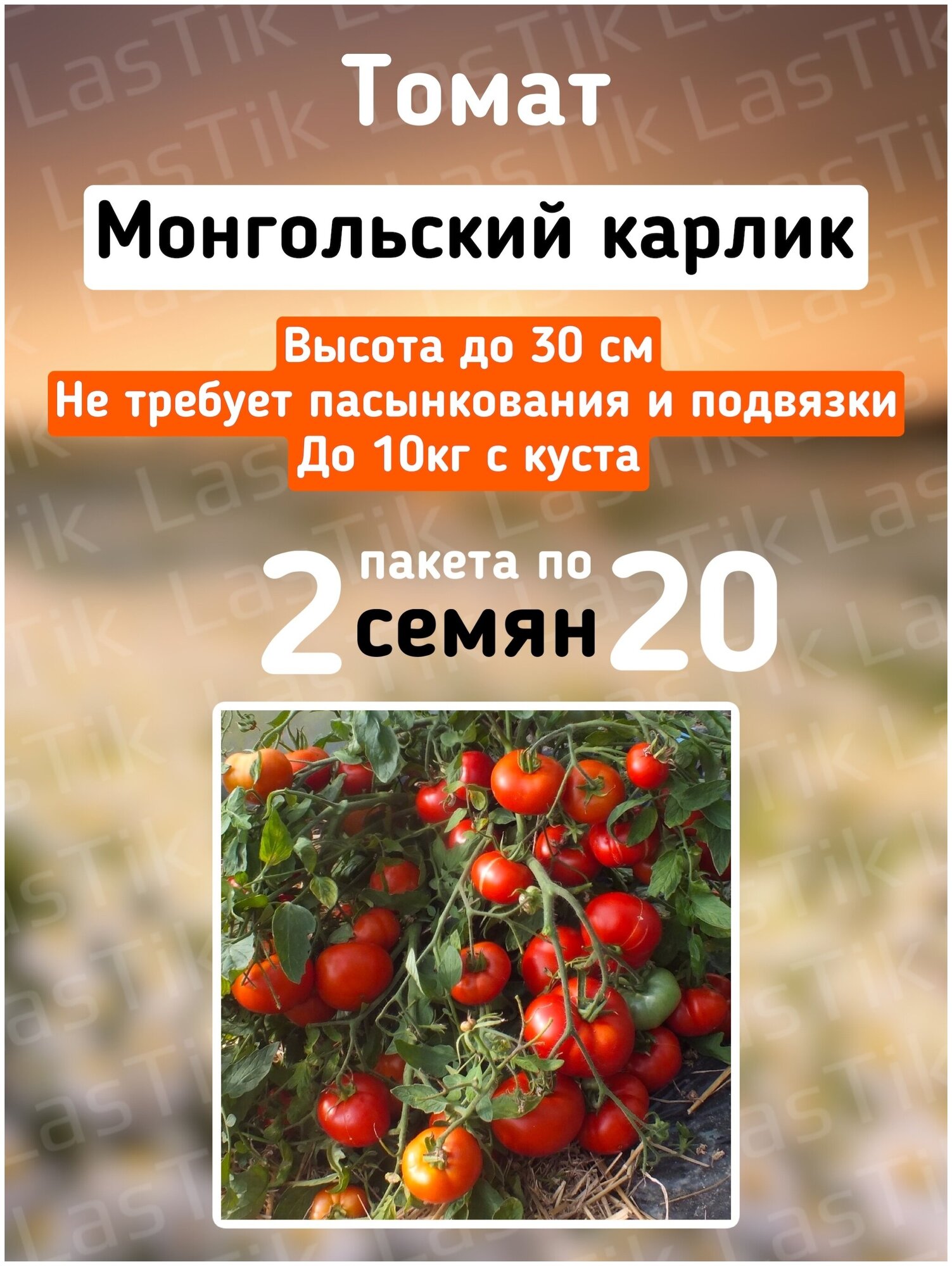 Томат Монгольский карлик 2 пакета по 20шт семян
