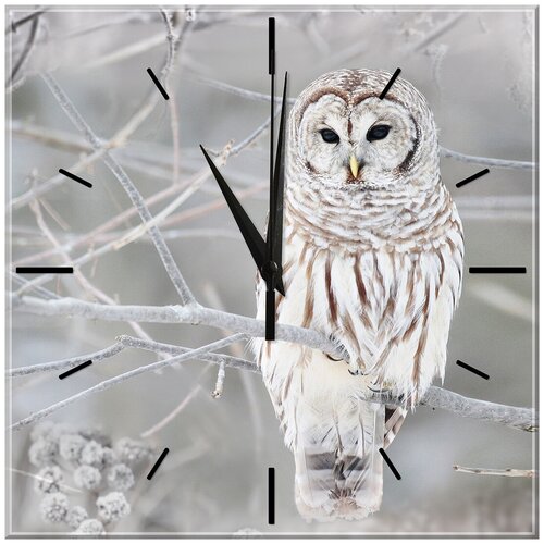 Часы настенные из стекла. Стеклянные часы с рисунком 