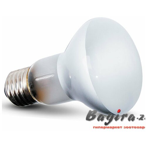 BS63050 Лампа точечного нагрева террариумная 
