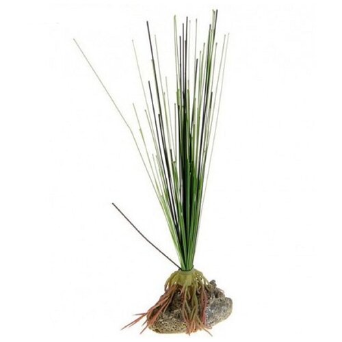 Растение шёлковое Tetra Аир, 15 см