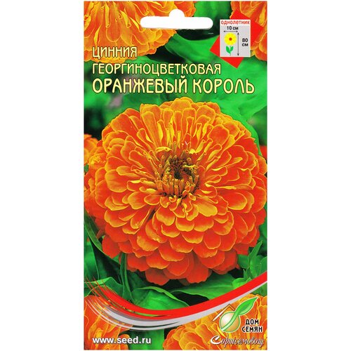 Цинния георгиноцветковая Оранжевый король, 35 семян