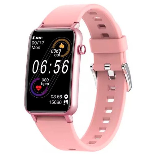 BandRate Smart BRSZX17RGP 711000₽