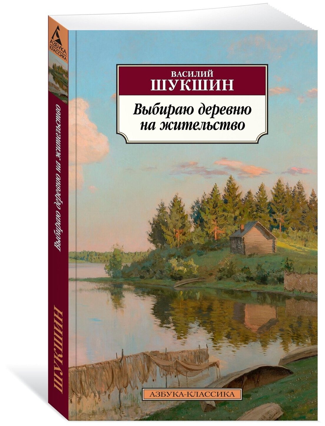 Книга Выбираю деревню на жительство