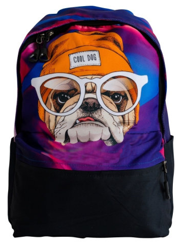 Рюкзак Cool dog + мешок для обуви / Школьный ранец / Городской рюкзак