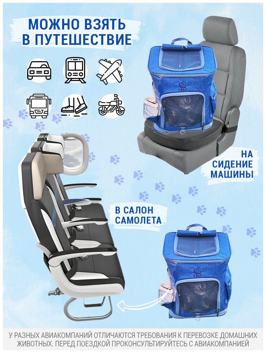 Рюкзак переноска для кошек и собак, LDLC, QS-002-L, синий джинс - фотография № 5