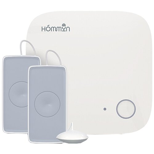 Комплект умного дома Hommyn Антипротечка Lite KS-31-WZ