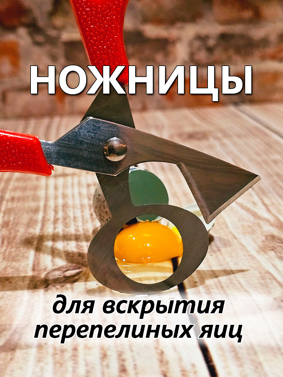 Ножницы для вскрытия перепелиных яиц IFedo (красные) для кухни