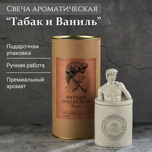 Свеча Ароматическая TAKO HOME Аромасвеча Давид аромат Табак и ваниль 180 мл 2650₽