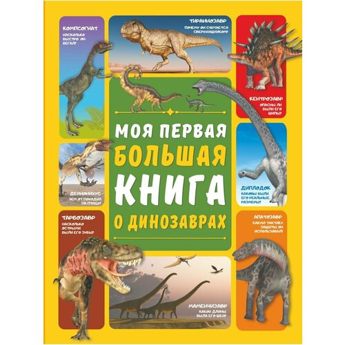 Моя первая большая книга о динозаврах большая книга о больших динозаврах для детей от 4 лет