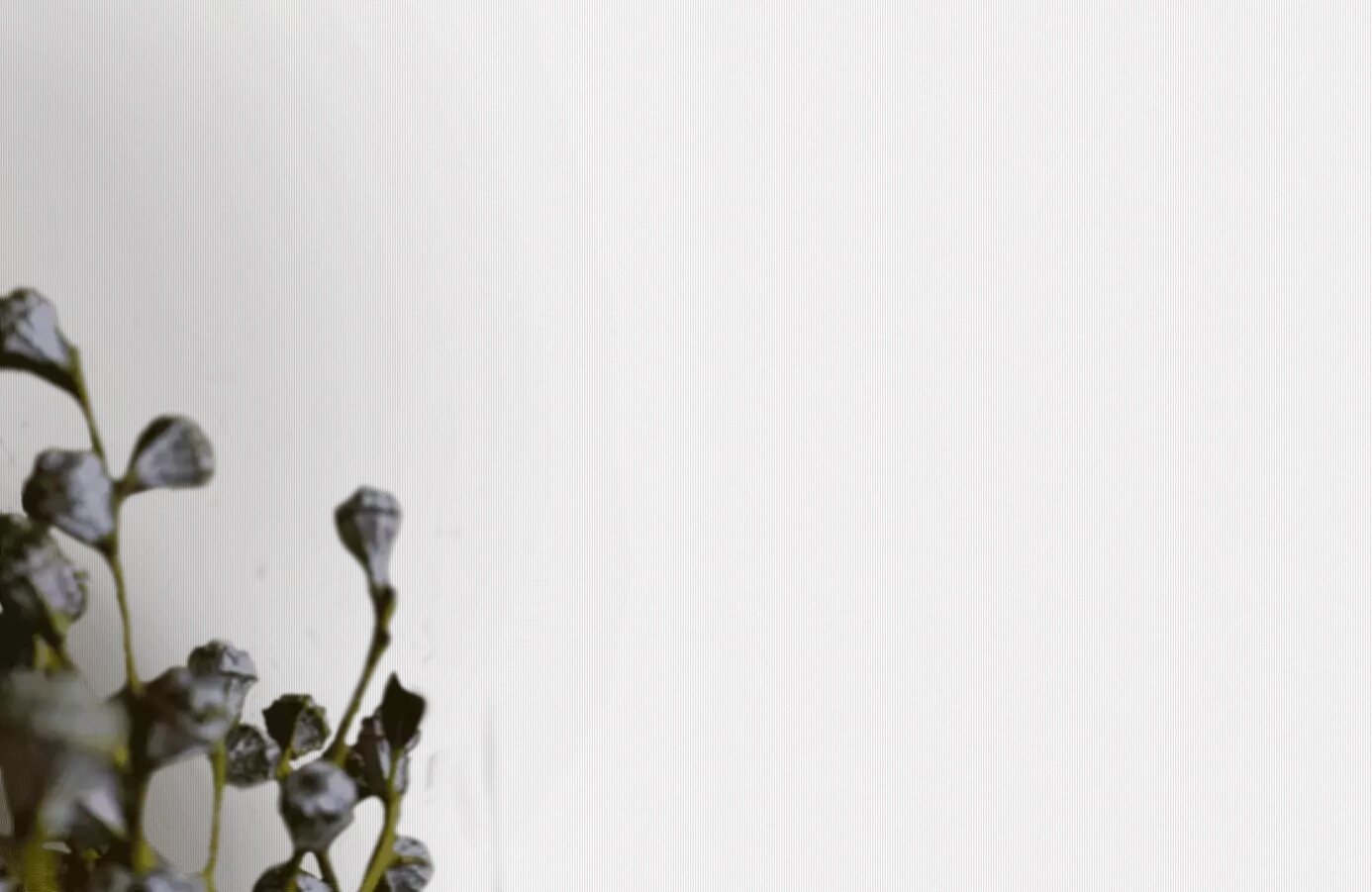 Обои детские Grandeco - фото №2