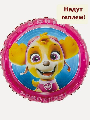 Изображение товара Фольгированный воздушный шар с гелием Щенячий Патруль Скай