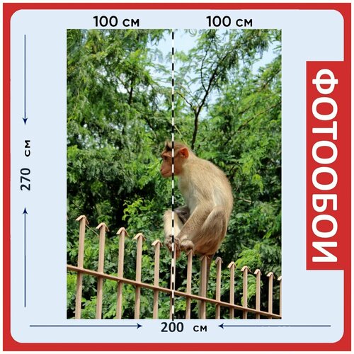 Фотообои Обезьяна крупным планом лангура серый лангур 200x270 см флизелиновыена стену 2950₽