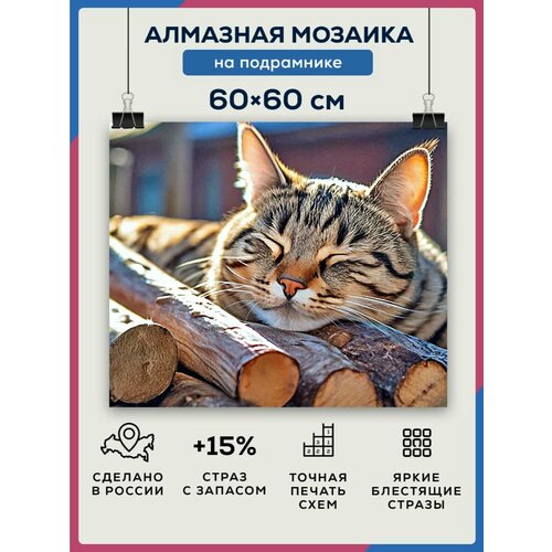 Алмазная мозаика 60x60 Деревенский кот на подрамнике