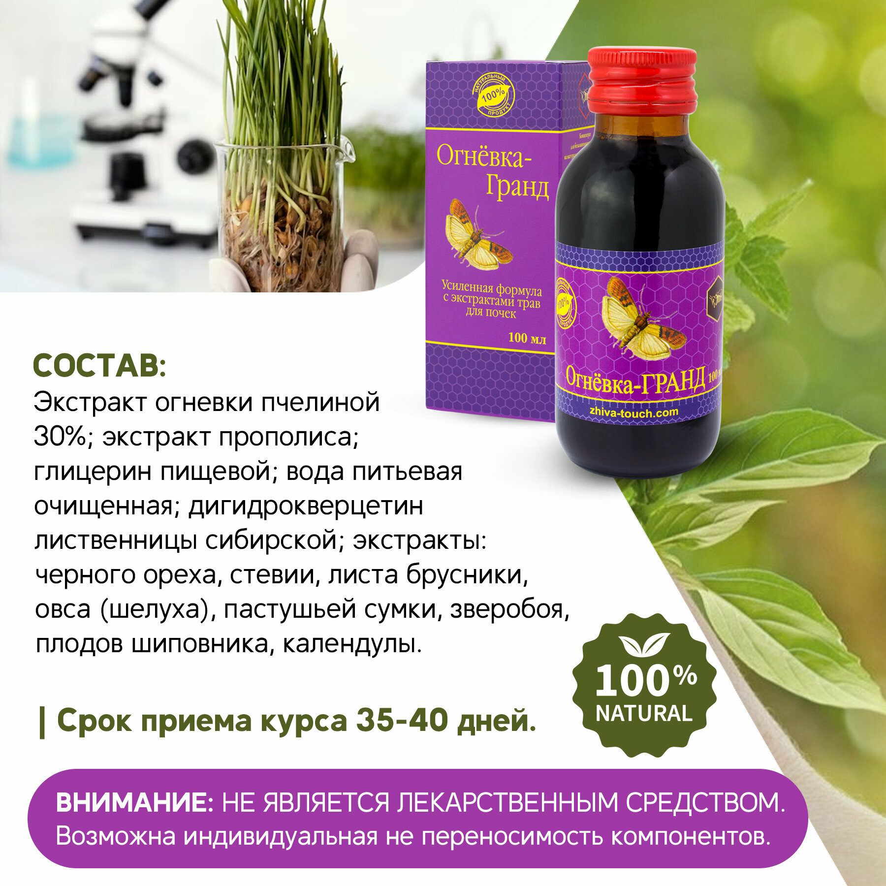 Изображение Настойка Огневка - Гранд для почек, мочевыводящих каналов, выведения солей и шлаков, от отеков, 100 мл.