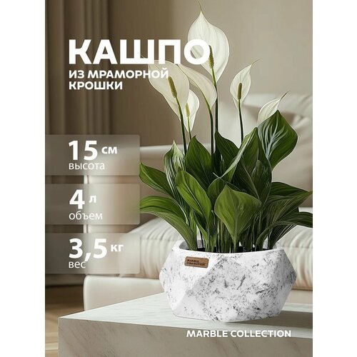 Кашпо для цветов настольное 4 литра